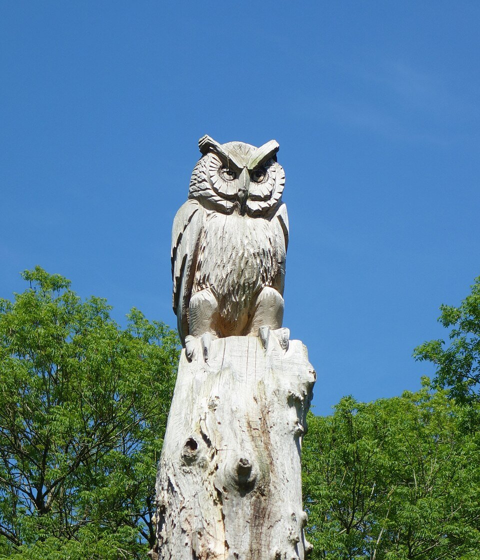 Hand-carved Wooden Owl Showpiece