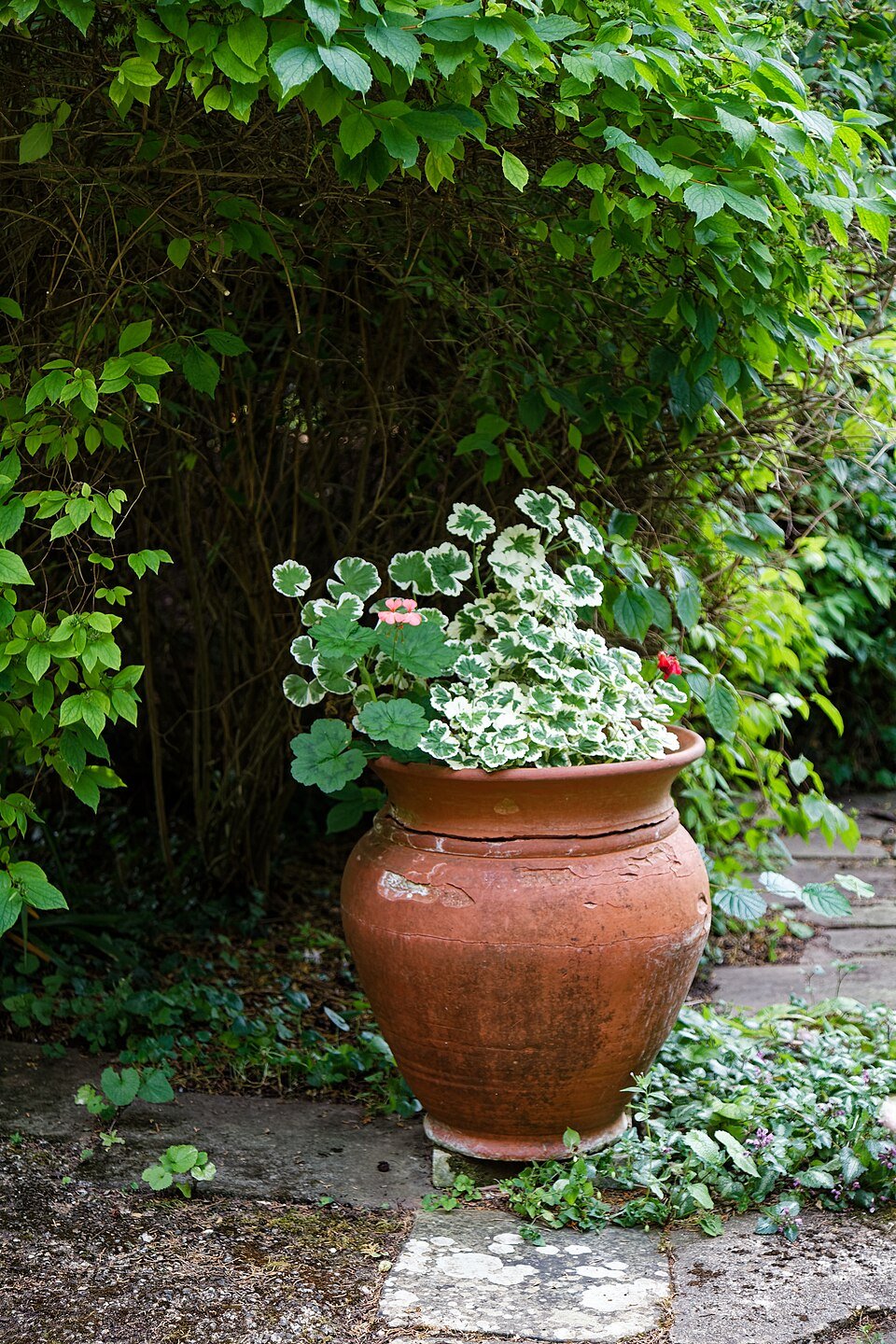 Terracotta Hanging Planter (Set of 2)